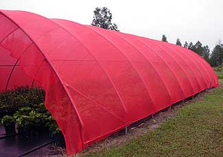 red shadecloth